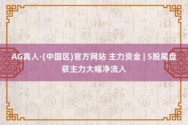 AG真人·(中国区)官方网站 主力资金 | 5股尾盘获主力大幅净流入