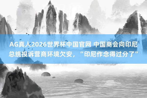 AG真人2026世界杯中国官网 中国商会向印尼总统投诉营商环境欠安,“印尼作念得过分了”