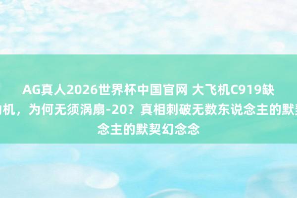 AG真人2026世界杯中国官网 大飞机C919缺国产发动机,为何无须涡扇-20?真相刺破无数东说念主的默契幻念念