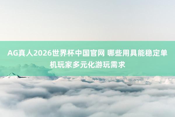 AG真人2026世界杯中国官网 哪些用具能稳定单机玩家多元化游玩需求