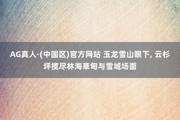 AG真人·(中国区)官方网站 玉龙雪山眼下, 云杉坪揽尽林海草甸与雪域场面