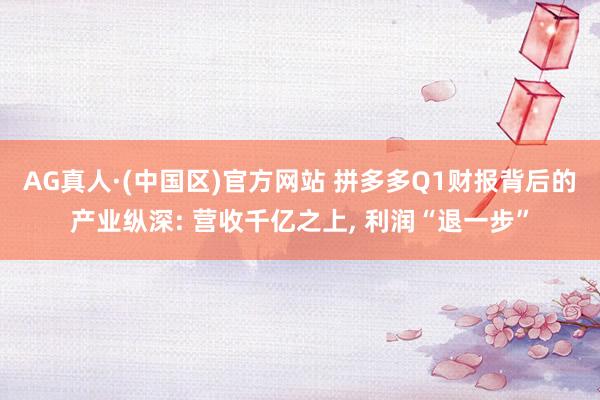 AG真人·(中国区)官方网站 拼多多Q1财报背后的产业纵深: 营收千亿之上, 利润“退一步”
