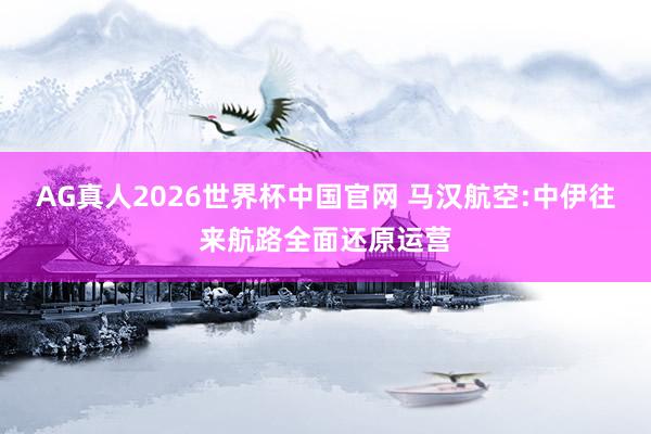 AG真人2026世界杯中国官网 马汉航空:中伊往来航路全面还原运营