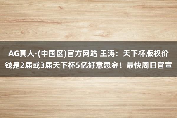 AG真人·(中国区)官方网站 王涛:天下杯版权价钱是2届或3届天下杯5亿好意思金!最快周日官宣