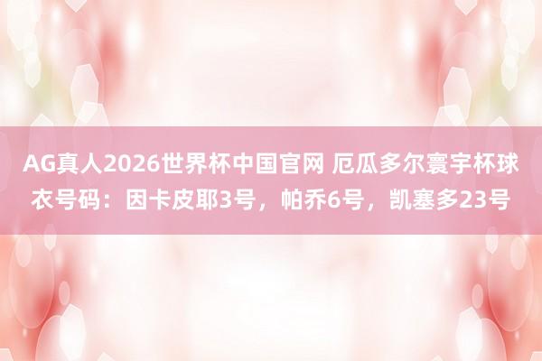 AG真人2026世界杯中国官网 厄瓜多尔寰宇杯球衣号码:因卡皮耶3号,帕乔6号,凯塞多23号