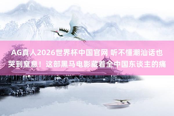 AG真人2026世界杯中国官网 听不懂潮汕话也哭到窒息!这部黑马电影藏着全中国东谈主的痛
