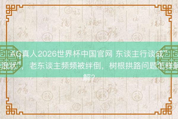 AG真人2026世界杯中国官网 东谈主行谈成“海浪状”,老东谈主频频被绊倒,树根拱路问题怎样解?